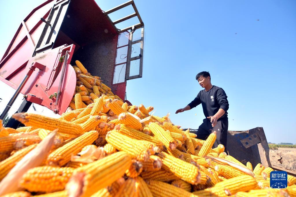 游戏网站平台大全